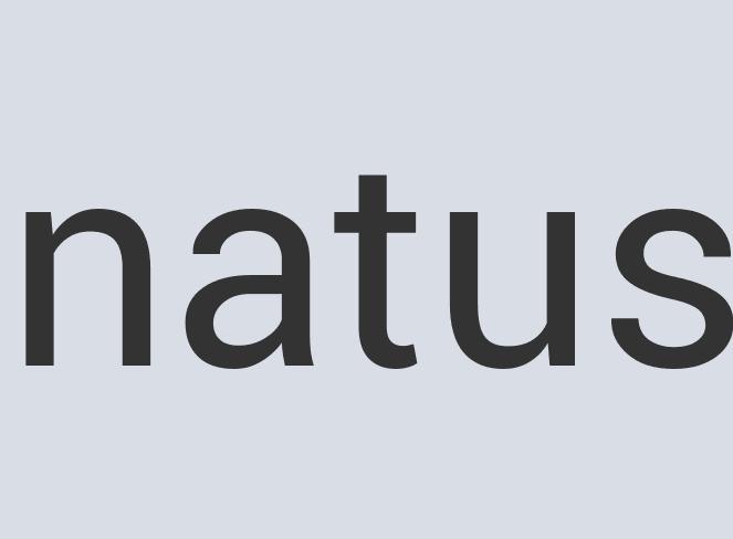 Aerodynamic Plastic Aesthetic Bug Gloss