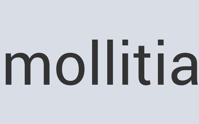 Synergistic Concrete Orange Bounce