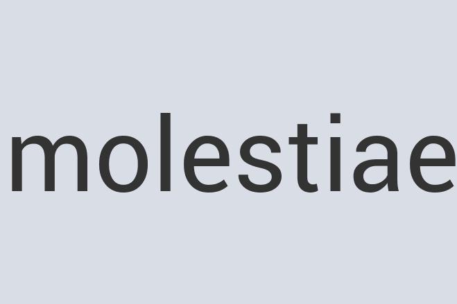 Aerodynamic Leather Active Taco Digestive Cream