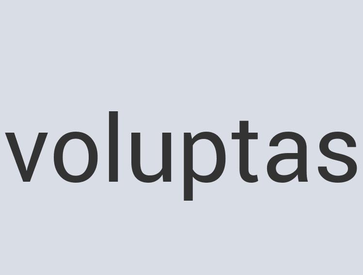 Ergonomic Aluminum Ham Horns