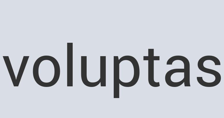 Ergonomic Aluminum Bone BaGGies